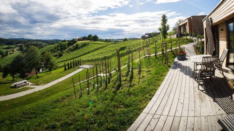 Geburtstagsurlaub in der Steiermark: Erholung und Genuss im Thermen- und Vulkanland, Bild 1/1