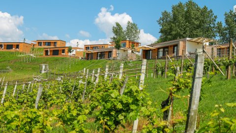 Resort in der Steiermark: Luxus, Natur und Entspannung, Bild 1/1