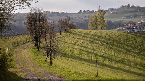 Wanderhotel in der Nähe, Bild 1/1