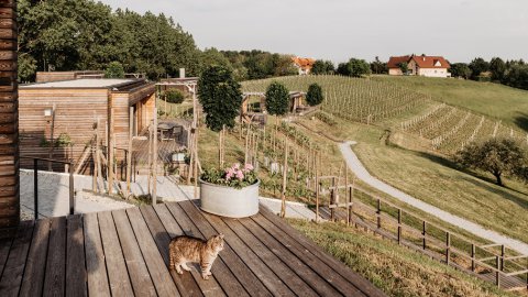 Wanderhotel in der Nähe von Loipersdorf, Bild 1/1