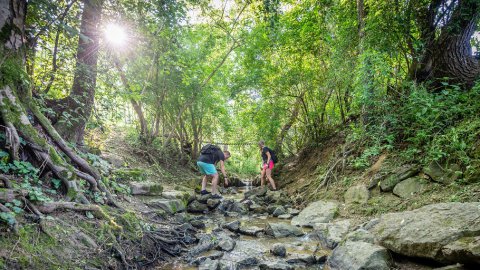 Wanderurlaub in der Steiermark für Paare, Bild 1/1