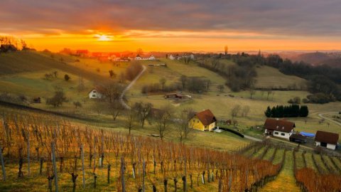 Weinwandern im Thermen- & Vulkanland: Die schönsten Routen für Genießer, Bild 1/1