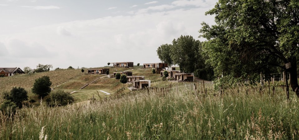 Geburtstag feiern in privatem Ferienhaus: Unvergessliche Momente im Weingarten-Resort, Bild 1/1