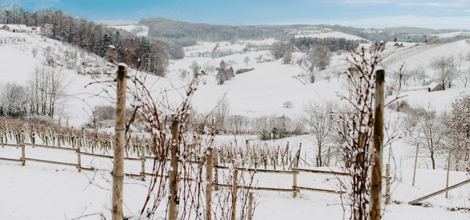 Kurzurlaub im Advent in Österreich: Besinnliche Auszeit im Weingarten-Resort, Bild 1/1