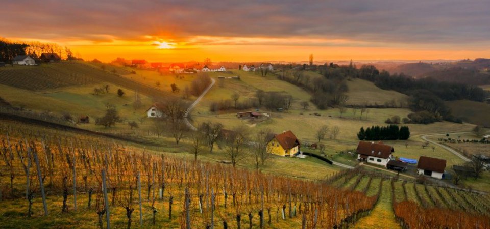 Weinwandern im Thermen- & Vulkanland: Die schönsten Routen für Genießer, Bild 1/1