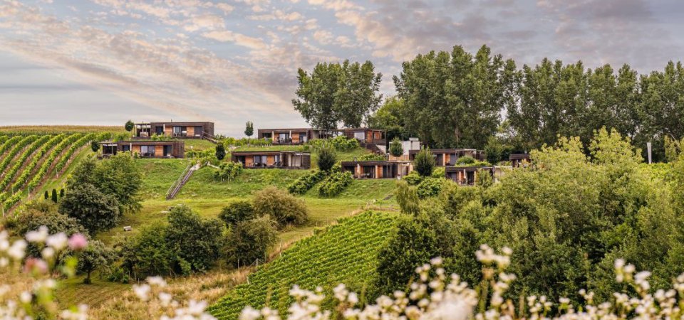 Wanderhotel nahe Riegersburg – Genussvolles Wandern in der Südoststeiermark, Bild 1/1