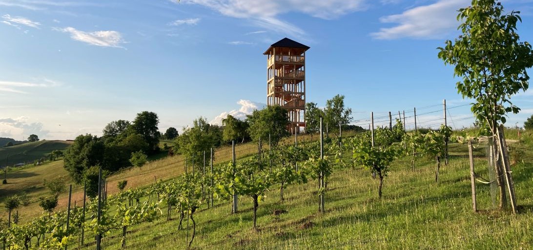 Weinwanderweg Erlebensweg der Sinne in Unterlamm im Thermen- und Vulkanland