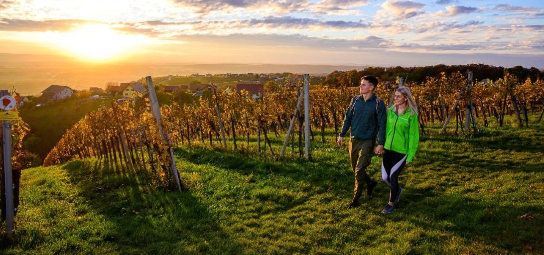 Weinwanderweg Traminerweg Klöch im Thermen- und Vulkanland