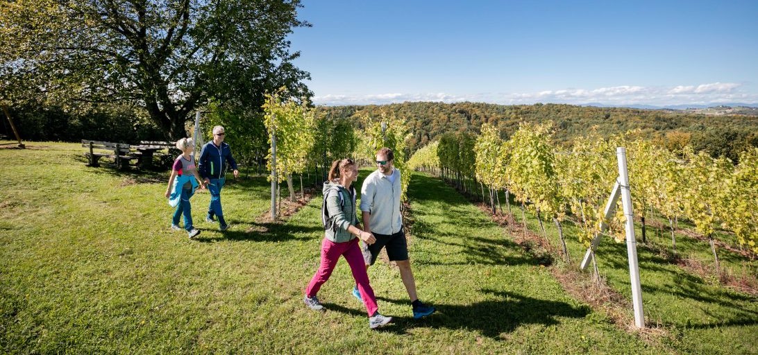 Weinwanderweg Wein-Erlebnis-Weg Bad Loipersdorf im Thermen- und Vulkanland